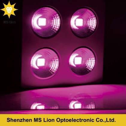 High Power LED Light LED Grow COB Full Spectrum for Greenhouse